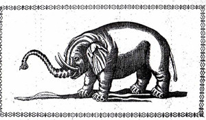 Elephant