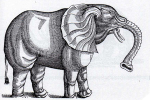 Elephant